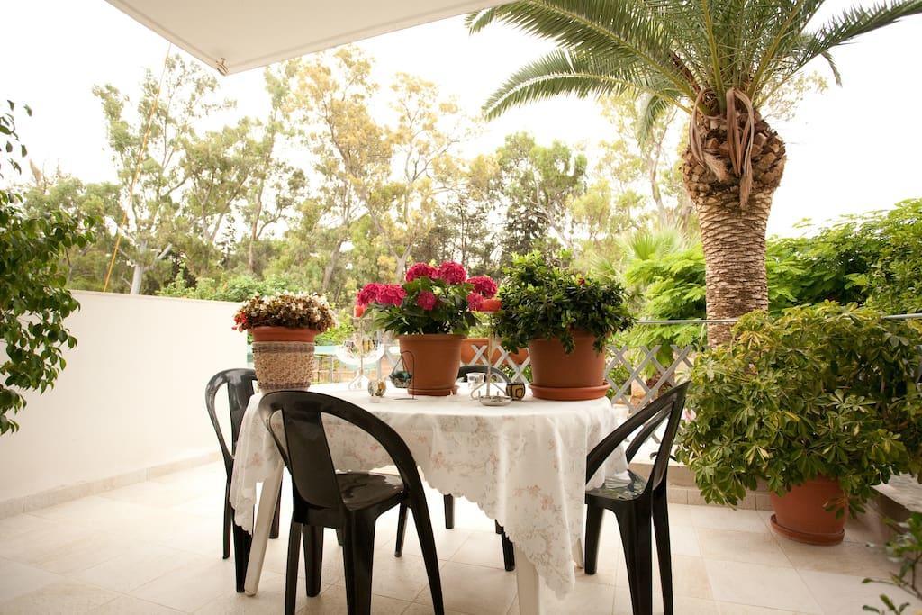 Veggie Garden Athens B&B Bagian luar foto