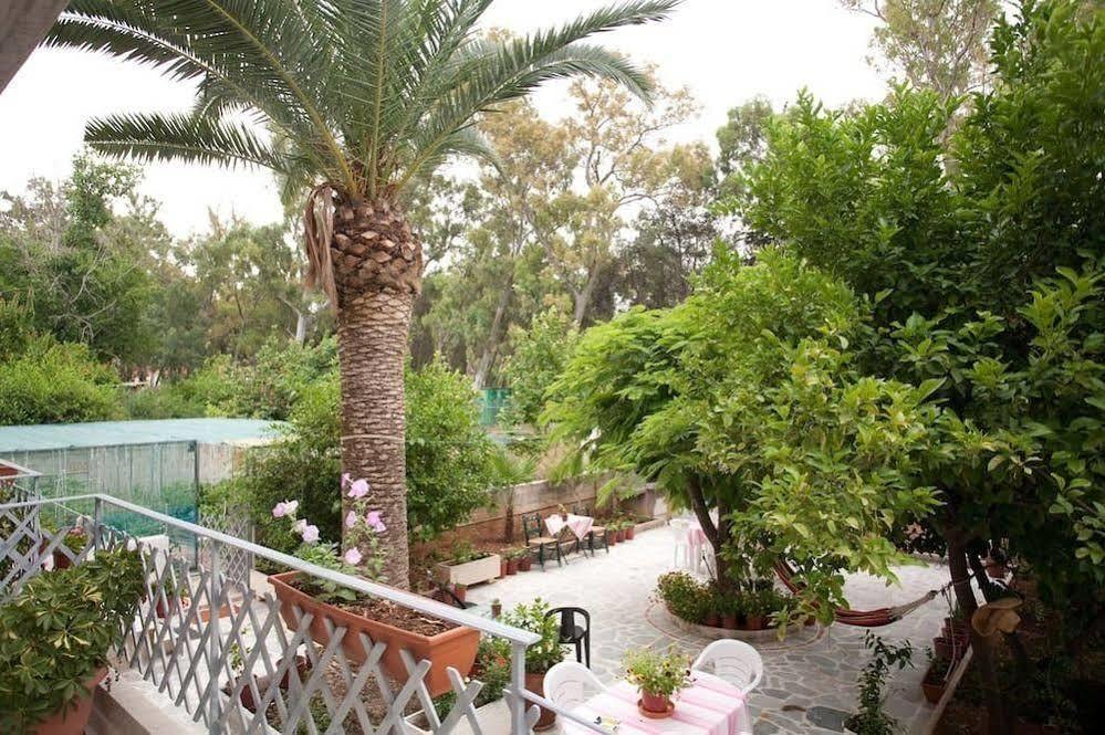 Veggie Garden Athens B&B Bagian luar foto